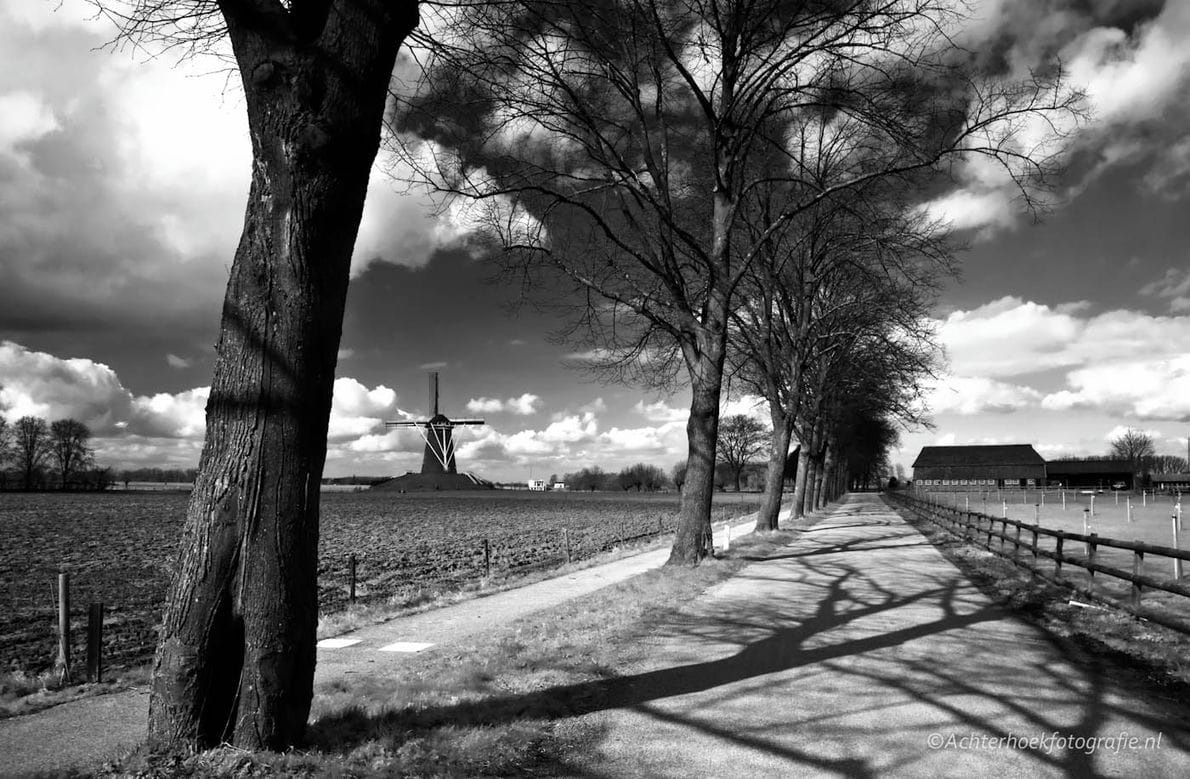 beginnerscursus fotografie