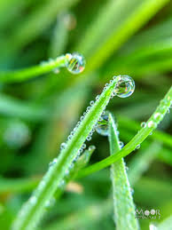 creatieve fotografie