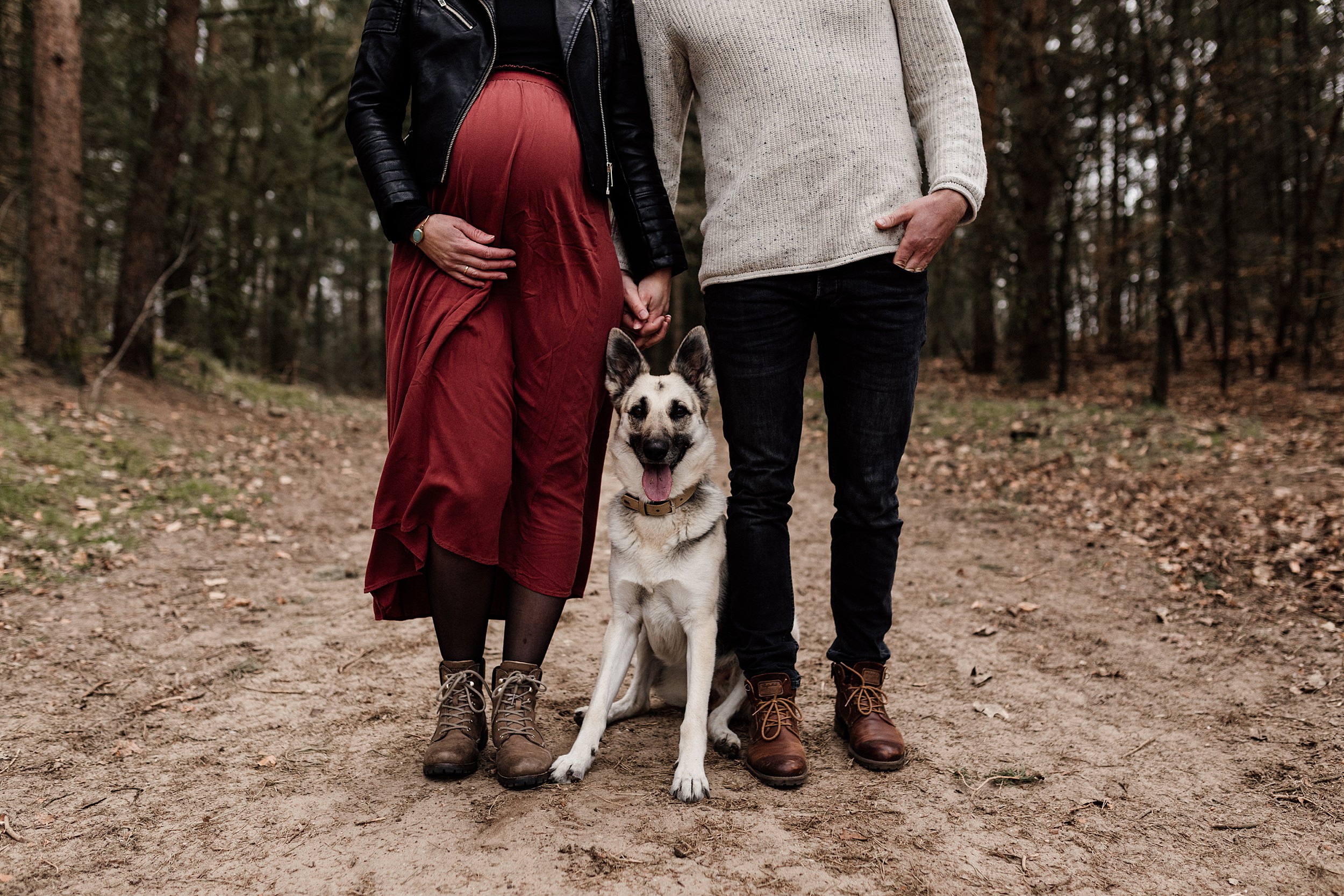 fotoshoot met hond